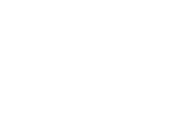 tire_logo1-copy