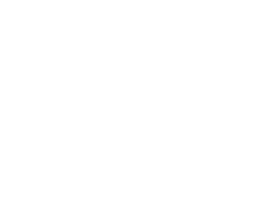 tire_logo_2-copy