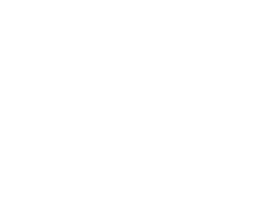 tire_logo_4-copy